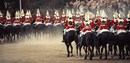 A full gallop